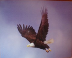 610-2409