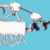 Bow-quiver-361-24